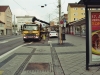 Tag der Erde 2016 10 (37)