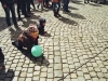 Tag der Erde 2016 20 (15)