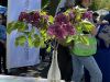 Kassel-Bilder-vom-Tag-der-Erde-2025-13