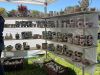 Kassel-Bilder-vom-Tag-der-Erde-2025-19