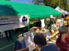 Kassel-Bilder-vom-Tag-der-Erde-2025-60