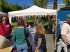 Kassel-Bilder-vom-Tag-der-Erde-2025-70
