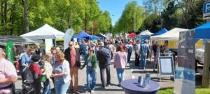 Bild - Tag der Erde 2025 in Kassel